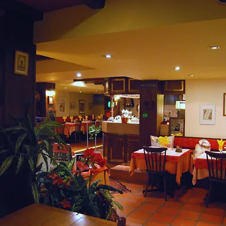 Отель Restaurant Aux Deux Roses 3*