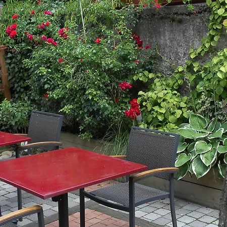 Restaurant Aux Deux Roses 3* Нёф-Бризах