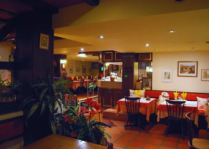 호텔 Restaurant Aux Deux Roses 3*